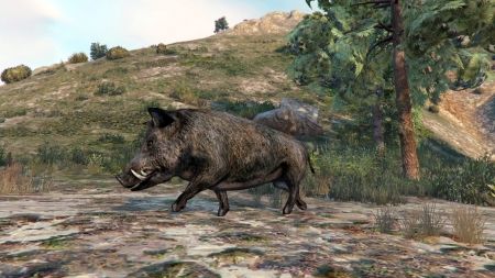 В GTA Online вернули галлюциногенные кактусы. Теперь вы можете играть за животных В GTA Online вернули галлюциногенные кактусы. Теперь вы можете играть за животных