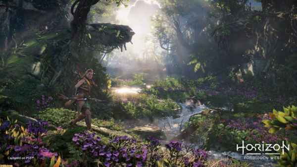 Свободный паркур, размеры мира, 60 FPS и другие новости о Horizon Forbidden West — WorldGameNews Свободный паркур, размеры мира, 60 FPS и другие новости о Horizon Forbidden West — WorldGameNews