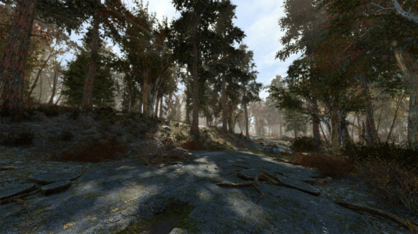 Энтузиаст добавил в Fallout 4 ещё 18 тысяч деревьев — WorldGameNews Энтузиаст добавил в Fallout 4 ещё 18 тысяч деревьев — WorldGameNews