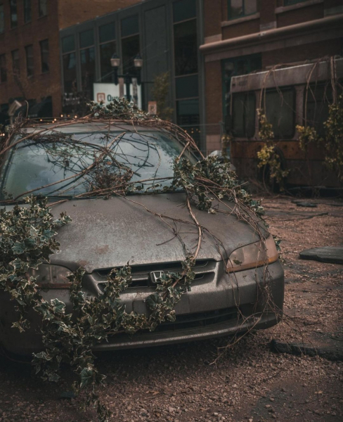 На свежих фото со съёмок экранизации The Last of Us показали Педро Паскаля — WorldGameNews На свежих фото со съёмок экранизации The Last of Us показали Педро Паскаля — WorldGameNews