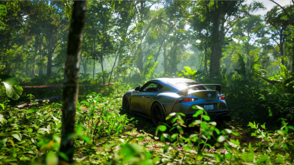 В Forza Horizon 5 уже почти 800 тысяч игроков, а игра ещё не вышла — WorldGameNews В Forza Horizon 5 уже почти 800 тысяч игроков, а игра ещё не вышла