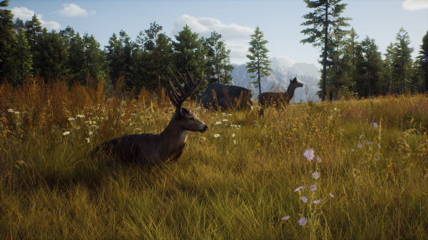 Охотничье приключение Way of the Hunter выходит в августе — WorldGameNews Охотничье приключение Way of the Hunter выходит в августе
