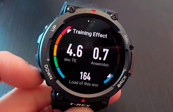Обзор Amazfit T-Rex 2: защищённые и умные часы для специфической аудитории Обзор Amazfit T-Rex 2: защищённые и умные часы для специфической аудитории
