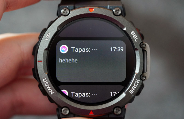Обзор Amazfit T-Rex 2: защищённые и умные часы для специфической аудитории Обзор Amazfit T-Rex 2: защищённые и умные часы для специфической аудитории