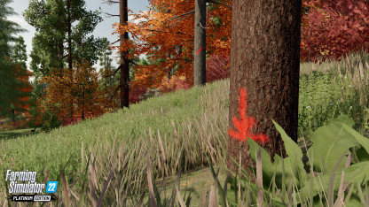 Для Farming Simulator 22 готовят Platinum Edition с новыми механиками — WorldGameNews Для Farming Simulator 22 готовят Platinum Edition с новыми механиками — WorldGameNews