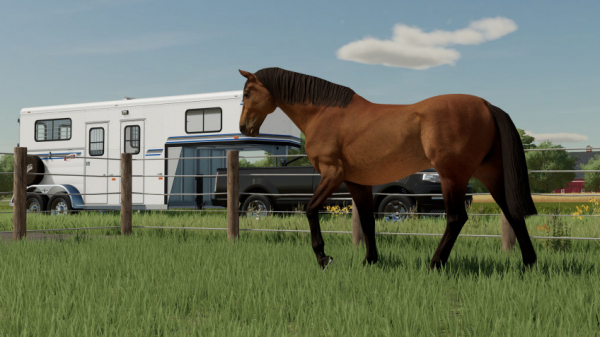 Германия примет фестиваль для поклонников Farming Simulator в июле — WorldGameNews Германия примет фестиваль для поклонников Farming Simulator в июле