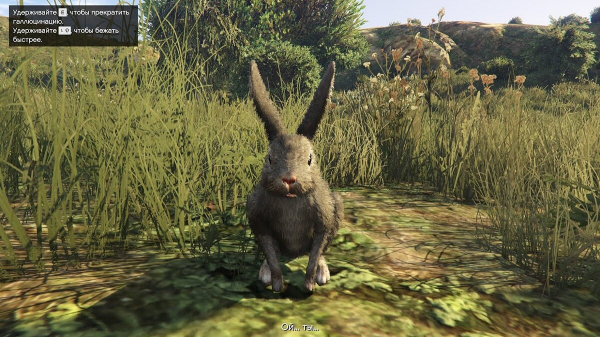 В GTA Online доступно превращение в кролика и бонусы для обладателей бункера В GTA Online доступно превращение в кролика и бонусы для обладателей бункера