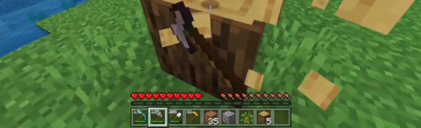 ТОП 5 самых интересных аддонов для Minecraft PE ТОП 5 самых интересных аддонов для Minecraft PE