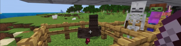 ТОП 5 самых интересных аддонов для Minecraft PE ТОП 5 самых интересных аддонов для Minecraft PE