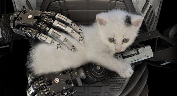Авторы The Talos Principle 2 выпустили кошачий трейлер Авторы The Talos Principle 2 выпустили кошачий трейлер