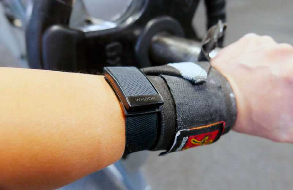 Обзор Whoop Strap 3.0: профессиональный фитнес-трекер для широкой публики Whoop Strap 3.0 тренировки