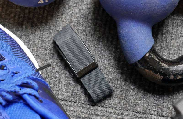 Обзор Whoop Strap 3.0: профессиональный фитнес-трекер для широкой публики Обзор Whoop Strap 3.0 профессионального фитнес-трекера — Отзывы TehnObzor