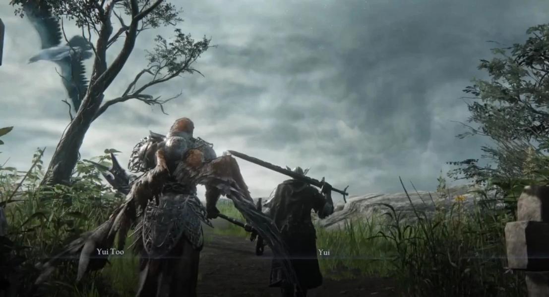 В Elden Ring Nightreign уже появился режим для двоих — FromSoftware ни при чём В Elden Ring Nightreign уже появился режим для двоих — FromSoftware ни при чём