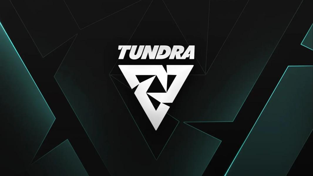 Менеджер Tundra Esports назвал фаворитов TI 2025 по Dota 2 и заявил о прогрессе команды Фото: Tundra Esports