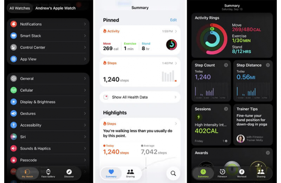 Обзор Apple Watch SE 3: третьих и самых доступных смарт-часов компании Приложение Здоровье