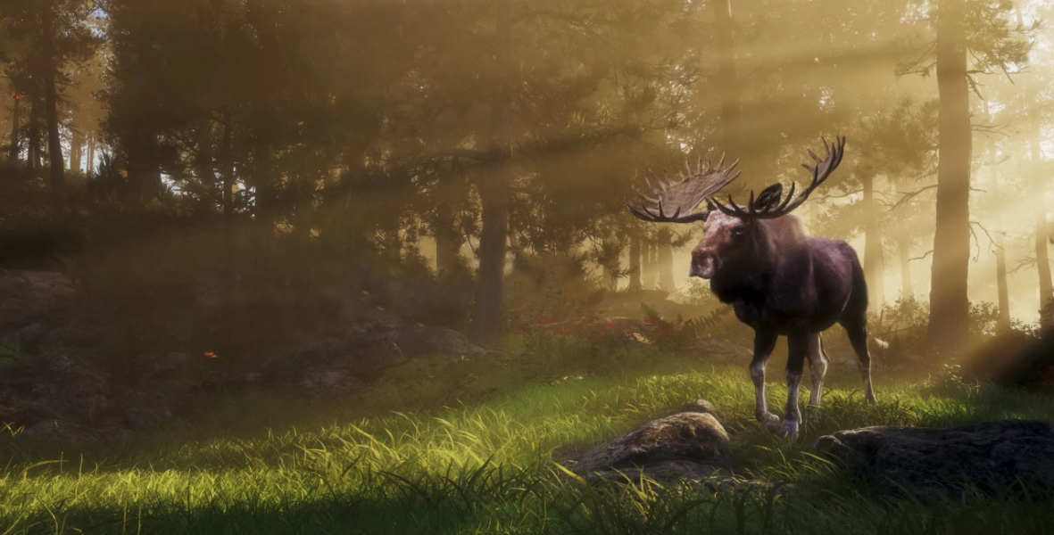 Создатели Way of the Hunter тизерят новое охотничье приключение Создатели Way of the Hunter тизерят новое охотничье приключение